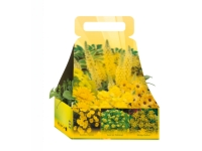 Assortiment de 6 plantes à massif