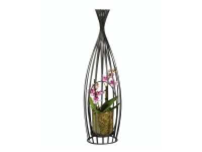 Mini orchidée en cage 14.99 €