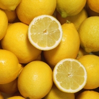 Aldi  Citrons bio
