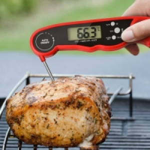 BBQ® Thermomètre pour barbecue