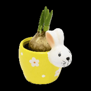 GARDENLINE® Coupe de pâques