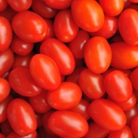 Aldi  Tomates cerises allongées bio