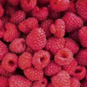 Framboises 1.19 €