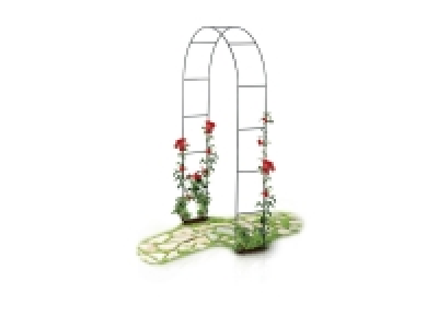 Arche Rosier Lidlnull
