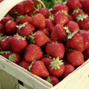 Fraises 3.49 €