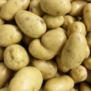 Pommes de terre de consommation 1.59 €