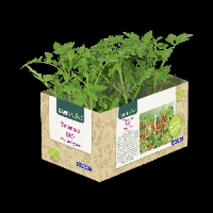 GARDENLINE® 6 plants de légumes bio