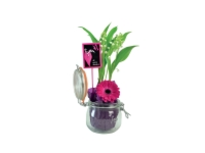 Muguet Bocal Tradition 8.99 €