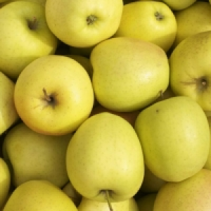 Pommes 2.25 €