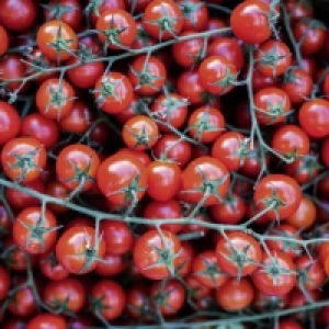 Aldi  Tomates cerises grappes