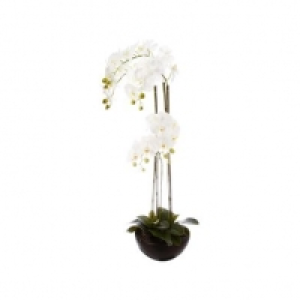  Blanc 69.99 €