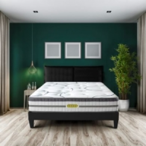   734.99 €