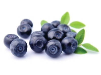 Lidl  Myrtille 250g