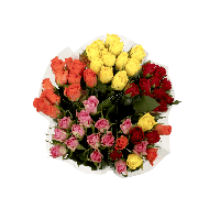 Aldi  Bouquet de 11 roses