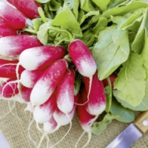 Radis roses en botte 0.79 €