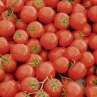 Aldi  Tomates rondes en grappe bio