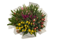 Lidl  Bouquet de Tulipes