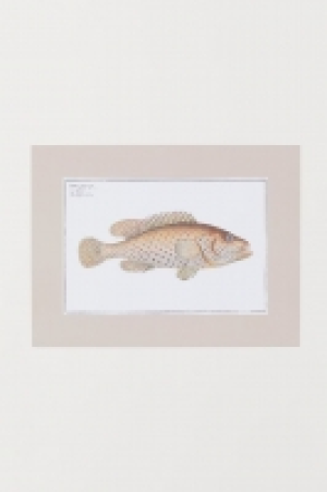 Poster 5.99 €