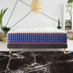   449.00 €