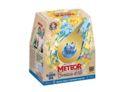 Meteor bière brassin dété