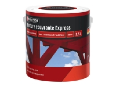 Peinture couvrante express 11.99 €