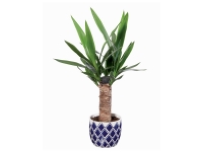 Plante verte en pot déco 5.99 €