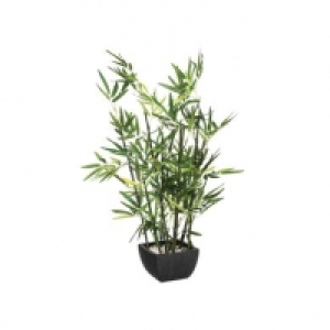 BAMBOU Vert 23.99 €