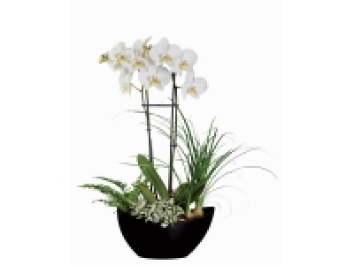 Composition orchidée design 14.99 €
