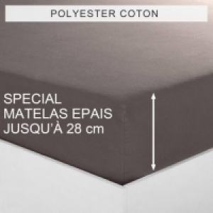   16.99 €