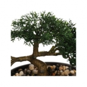  Vert 11.99 €