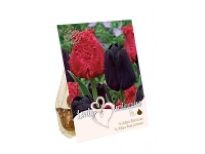 Bulbes de fleurs mix couleurs 1.32 €