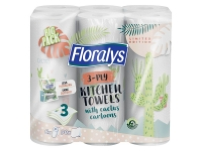 Essuie-tout 4.49 €