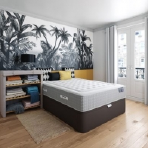 OXA beige 15.99 €