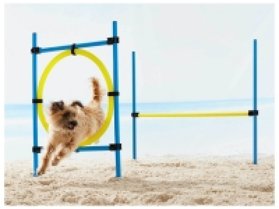 Lidl  Accessoire Agility pour chien