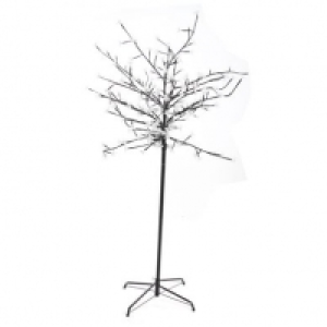  Noir 31.99 €