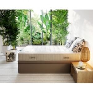 DREAMEA EDITION SONNY PU taupe 419.99 €