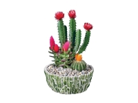 Lidl  Coupe Cactus avec fleurs séchées