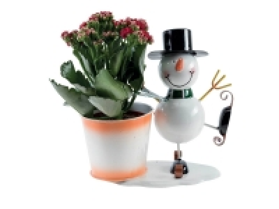 Lidl  Kalanchoé figurine Noël
