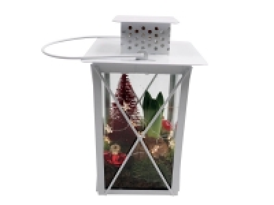 Lidl  Jacinthe lanterne