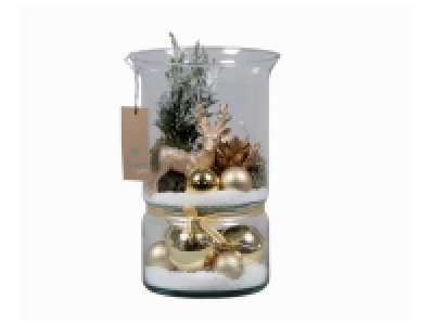 Lidl  Mini sapin en vase déco