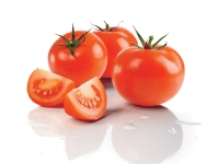 Lidl  Tomate Filet 1kg