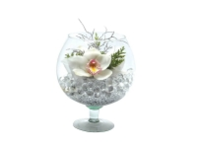 Orchidée Cymbidium en verre à Cognac
