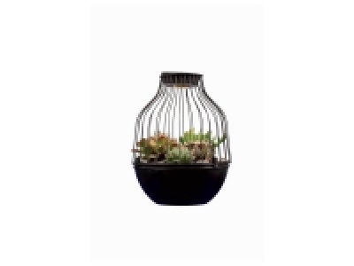 Cactus en cage LED