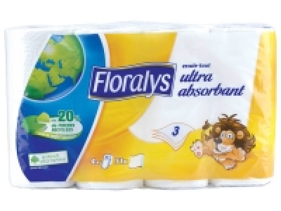 Essuie-tout 1.33 €
