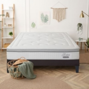   519.00 €