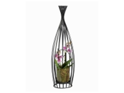 Mini orchidée en cage