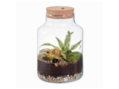 Lidl  Terrarium Lumineux « Led »