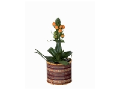 Ornitogalum en céramique 4.99 €