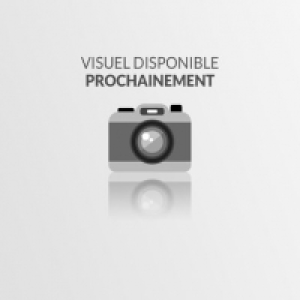 PHILIPS 39PHS6707/12 299.99 €