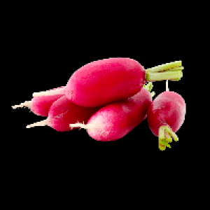 Radis roses en botte 0.75 €